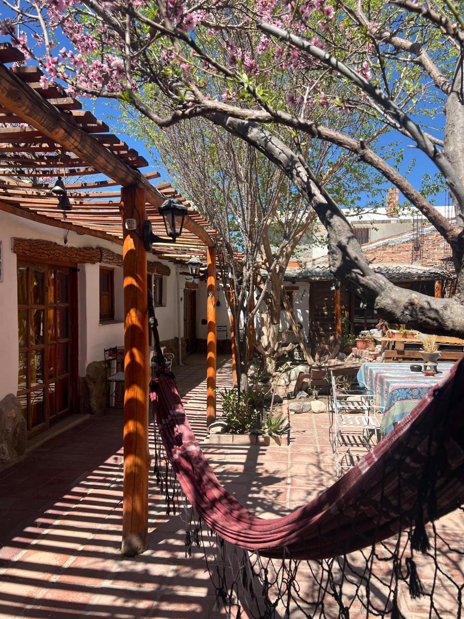 Hostal Tierra Andina カファヤテ エクステリア 写真